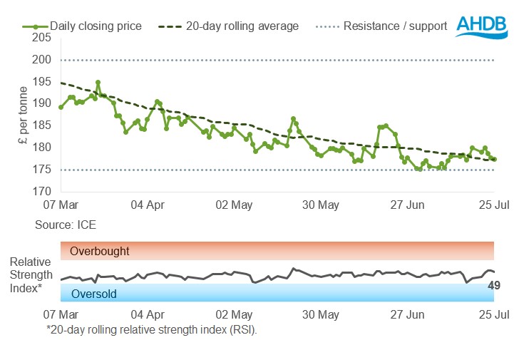 Grain Graph 28 07 2025